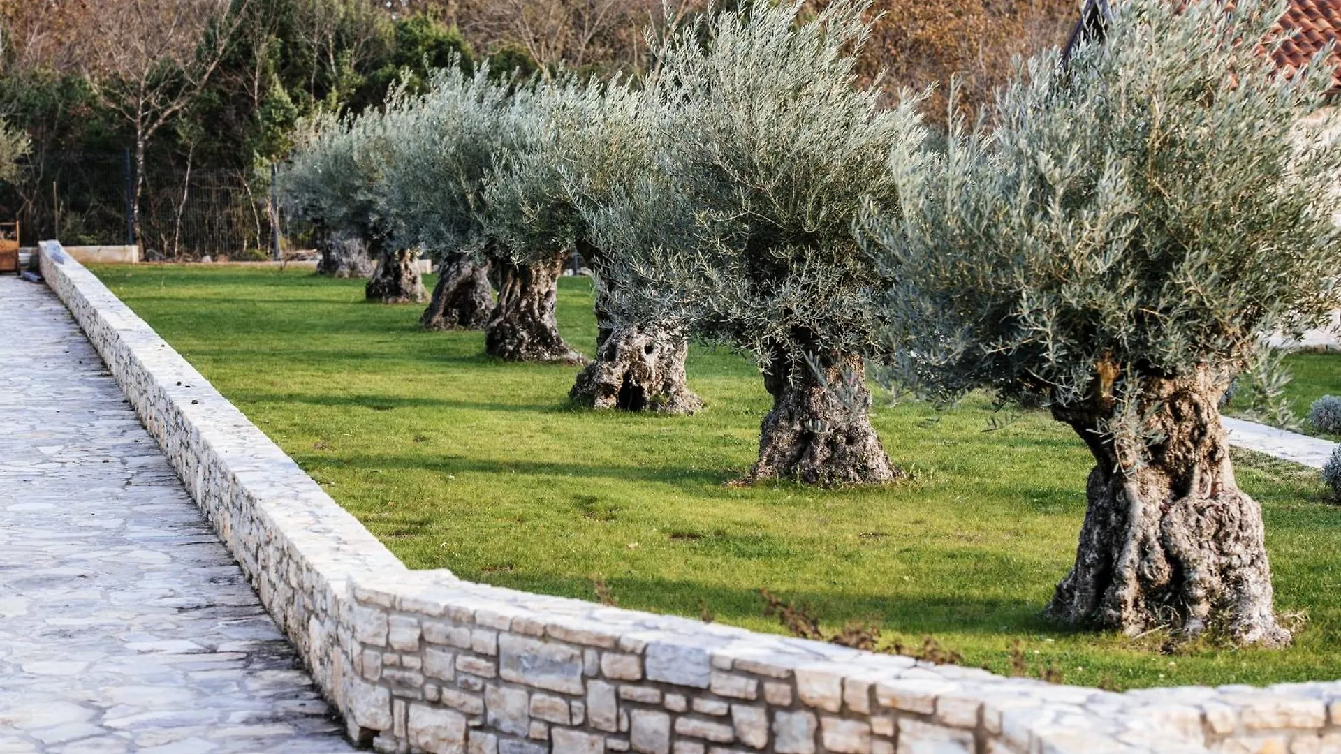 Villa Marta Zadarvillas Poljica-Brig Croatia